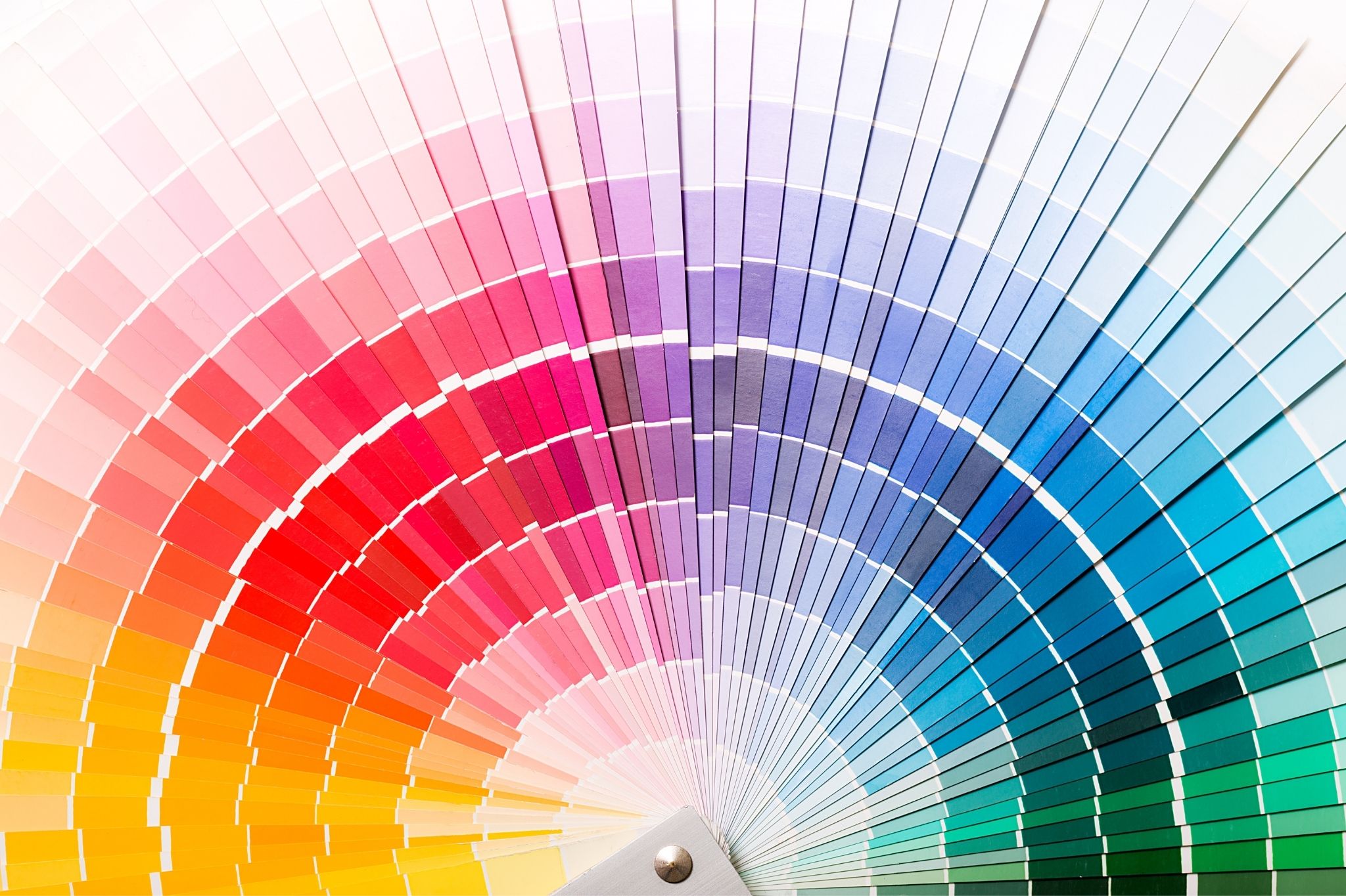 freelance designer chooses colors for diverse target market